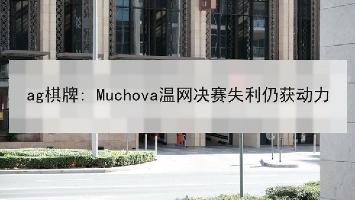 ag棋牌: Muchova温网决赛失利仍获动力 ag棋牌: Muchova温网决赛失利仍获动力